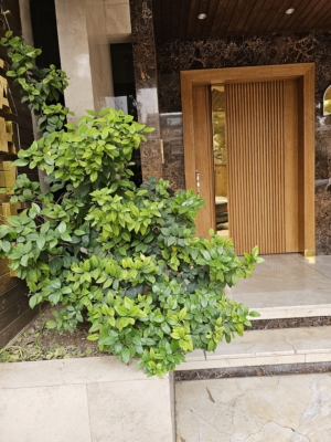 نقش صنایع سنگ سپاهان در معماری مدرن بندرانزلی