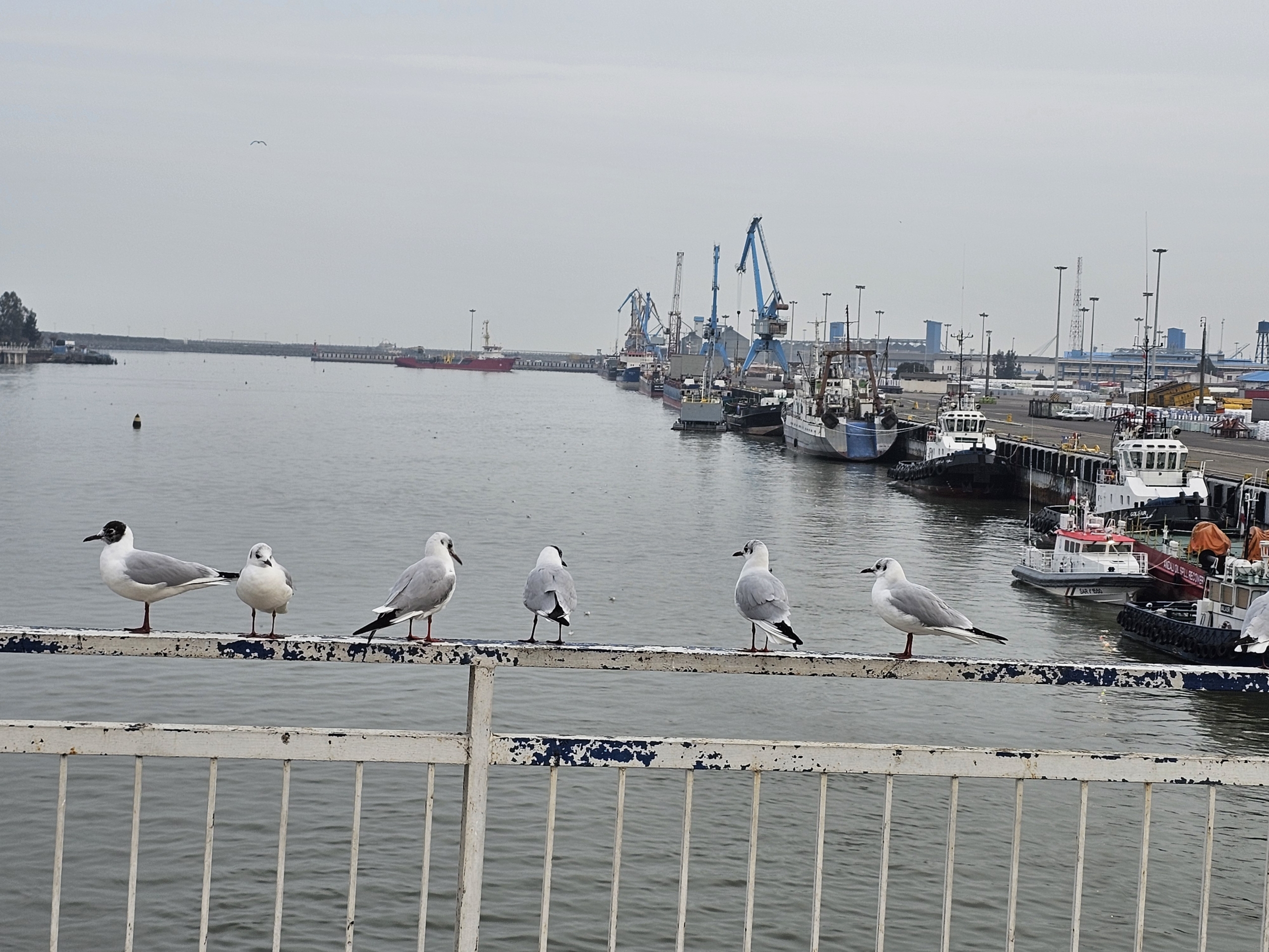 بهترین صنایع سنگ در بندرانزلی